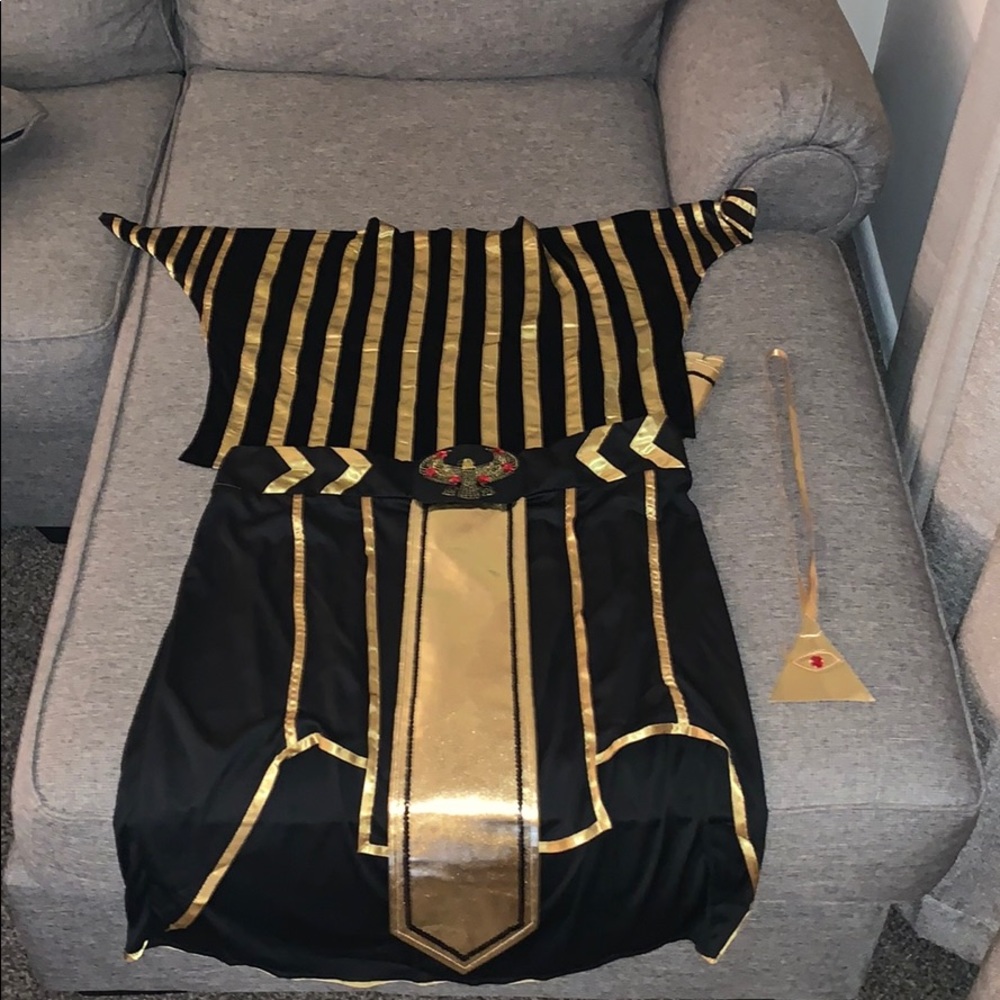Men’s plus size Egyptian king costume